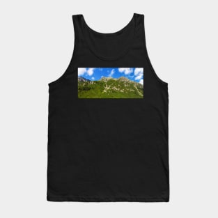 Beautiful landscape of high Tatra mountains Tank Top